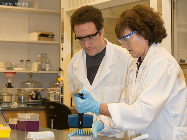 Assistant research Cole Gray and Dr. Leslie Cizmas work in Cizmas’ lab.